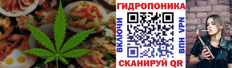 купить наркотики сайты  kraken tor  Печенье с ТГК марихуана  Опочка 