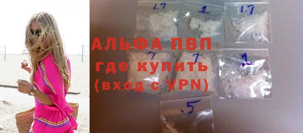 прущие грибы Арсеньев