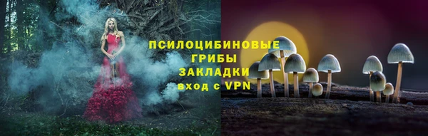 прущие грибы Арсеньев
