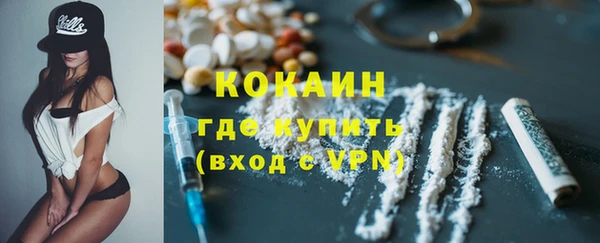 прущие грибы Арсеньев