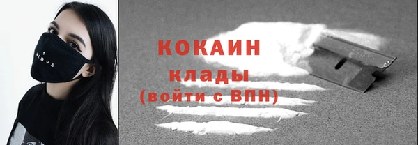 прущие грибы Арсеньев
