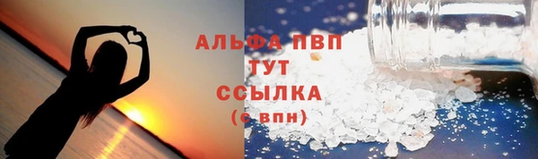 прущие грибы Арсеньев