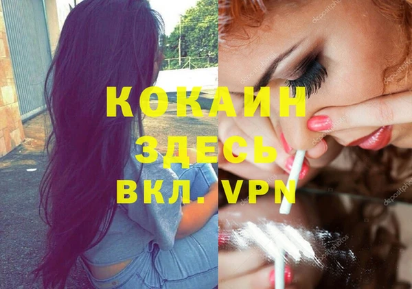 ГАЛЛЮЦИНОГЕННЫЕ ГРИБЫ Армянск