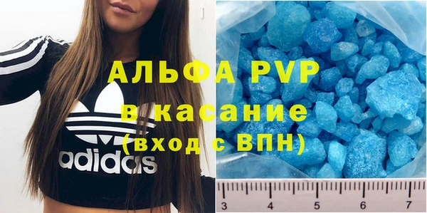 прущие грибы Арсеньев